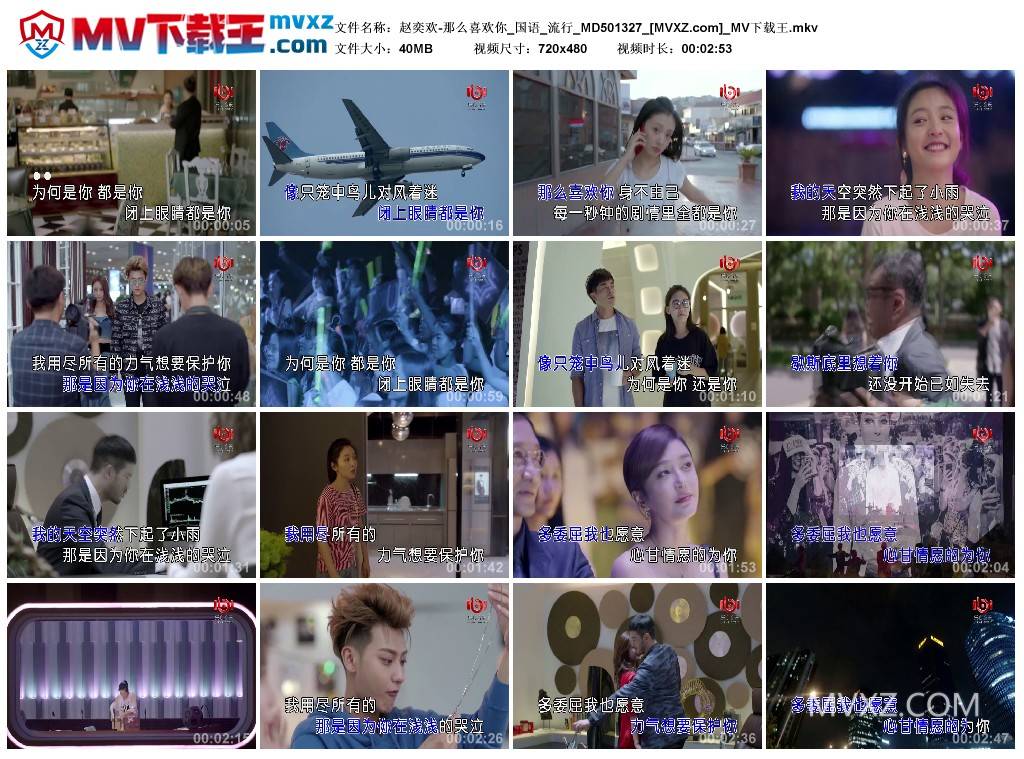 赵奕欢-那么喜欢你_国语_流行_MD501327